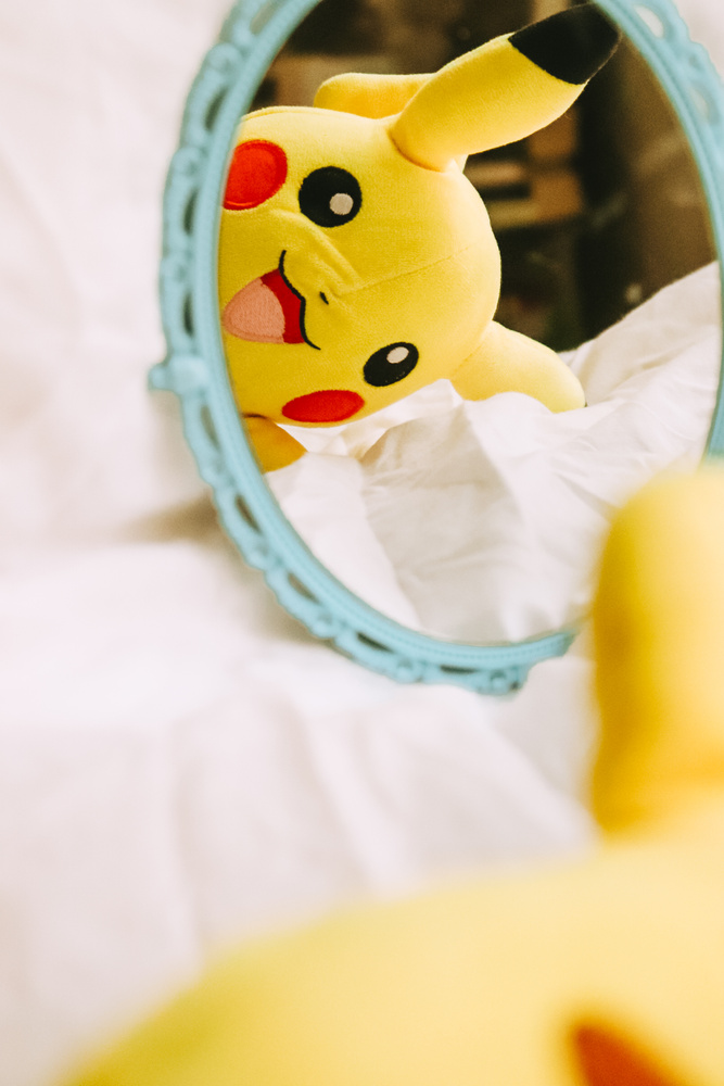 Reflection of a Plush Toy